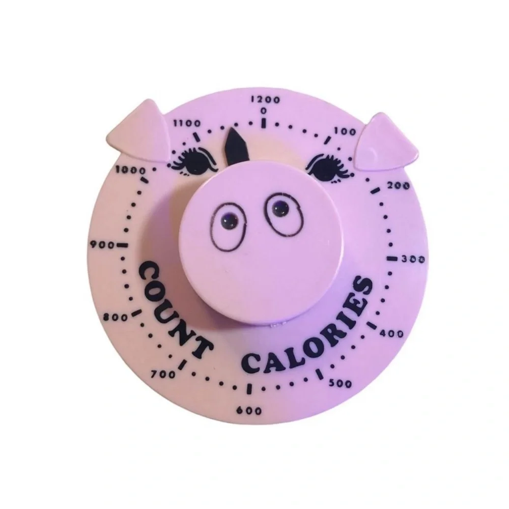 Vintage “Count Calories” Pig Magnet By J.S.N.Y.